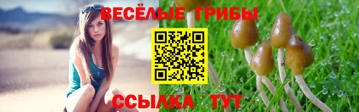 Псилоцибиновые грибы Psilocybine cubensis Аргун