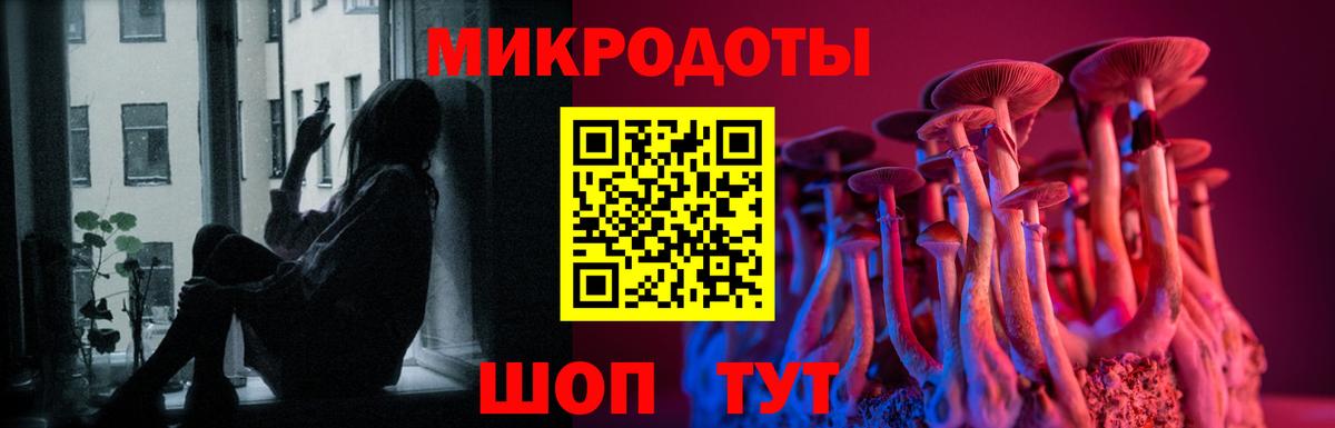 Галлюциногенные грибы Cubensis  Псилоцибиновые грибы Psilocybe  Аргун  Вход с VPN 
